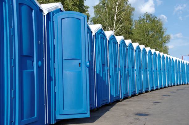 Best High-end porta potty rental  in Fern Acres, HI